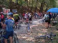 Сбор и регистрация