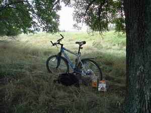 Остановка напротив ж/д пл. 165 км